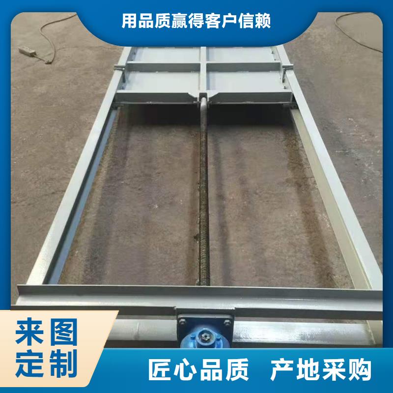 景观钢闸门支持定制