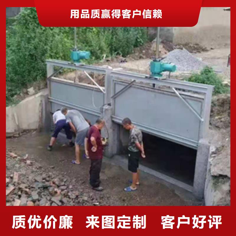 底轴液压闸门支持定制