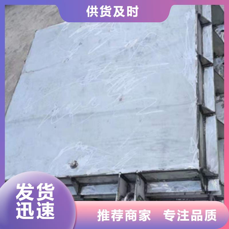 景观钢闸门支持定制
