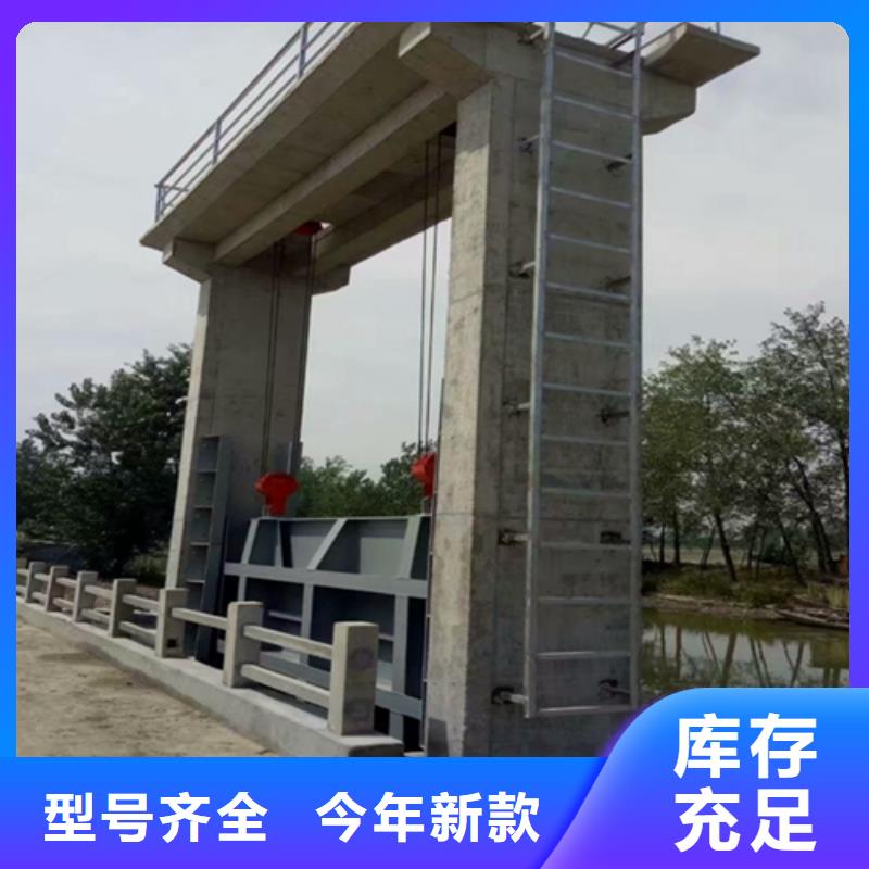 钢闸门,清污机厂家随心所欲定制