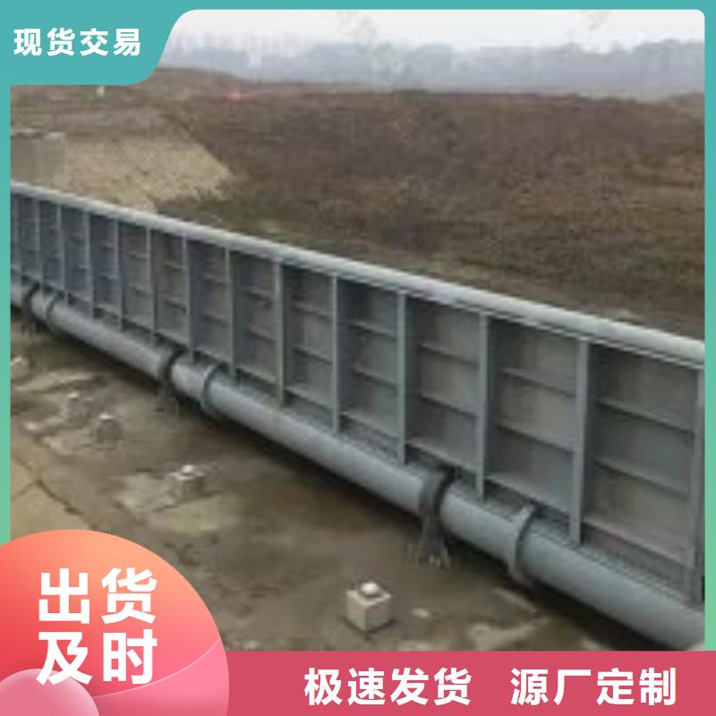 钢坝闸门支持定制