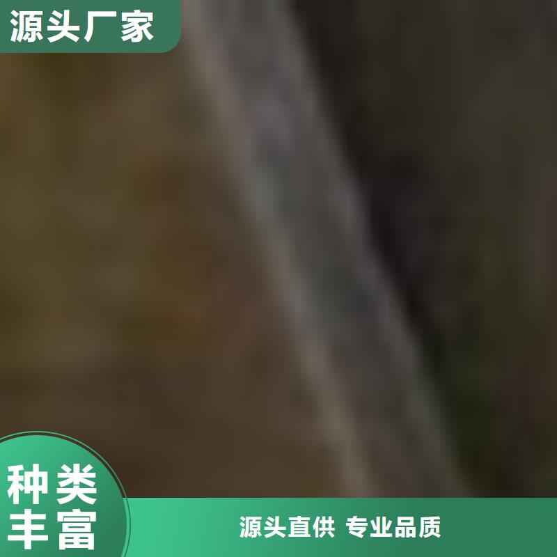 【护栏_镀锌喷塑防撞栏产品细节】