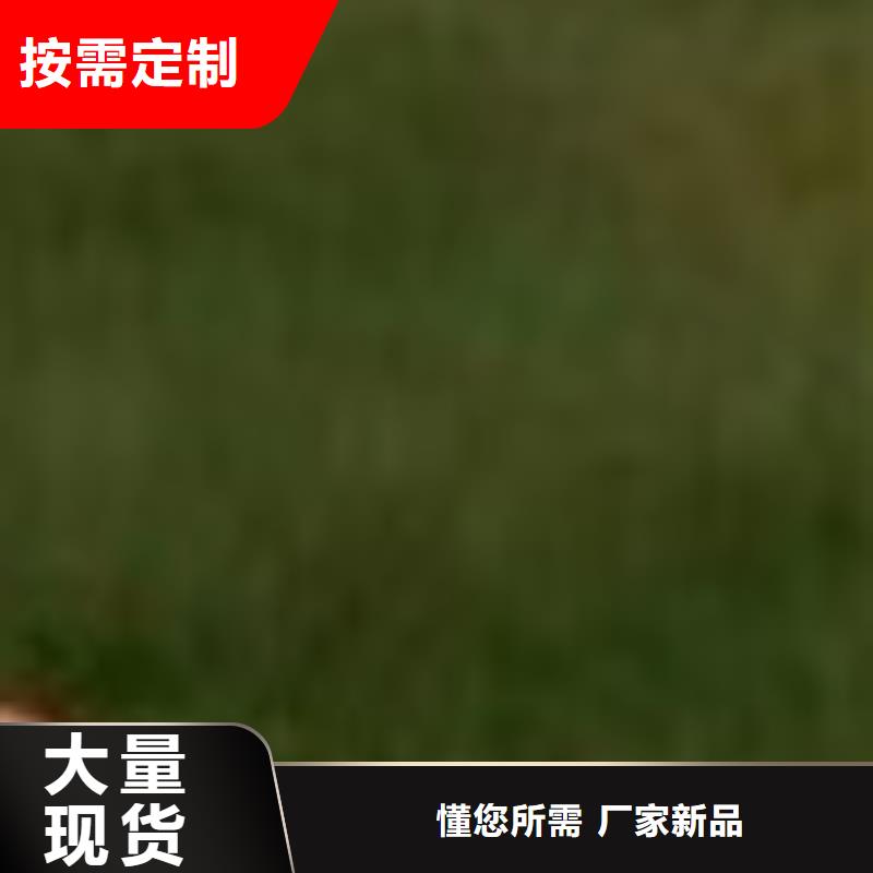  护栏您想要的我们都有