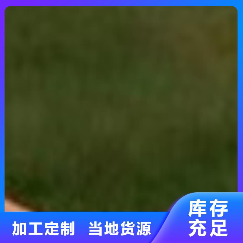 护栏_桥梁防撞护栏厂快捷的物流配送