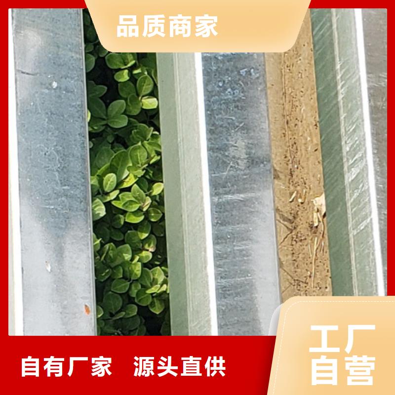 护栏河堤防撞护栏优质货源