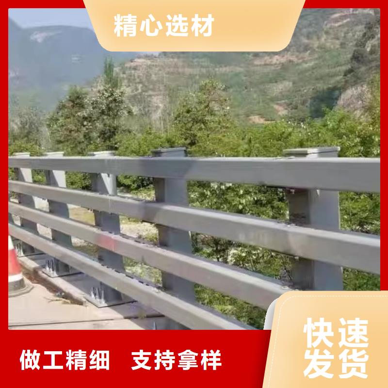 护栏-市政道路防护栏质优价保