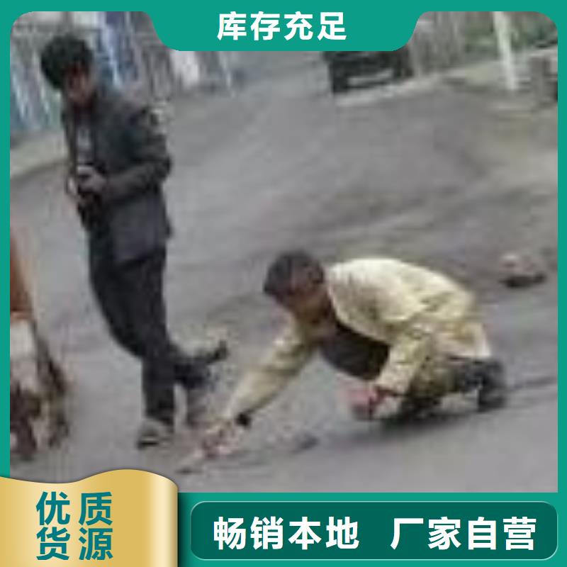 修补料灌浆料专业品质