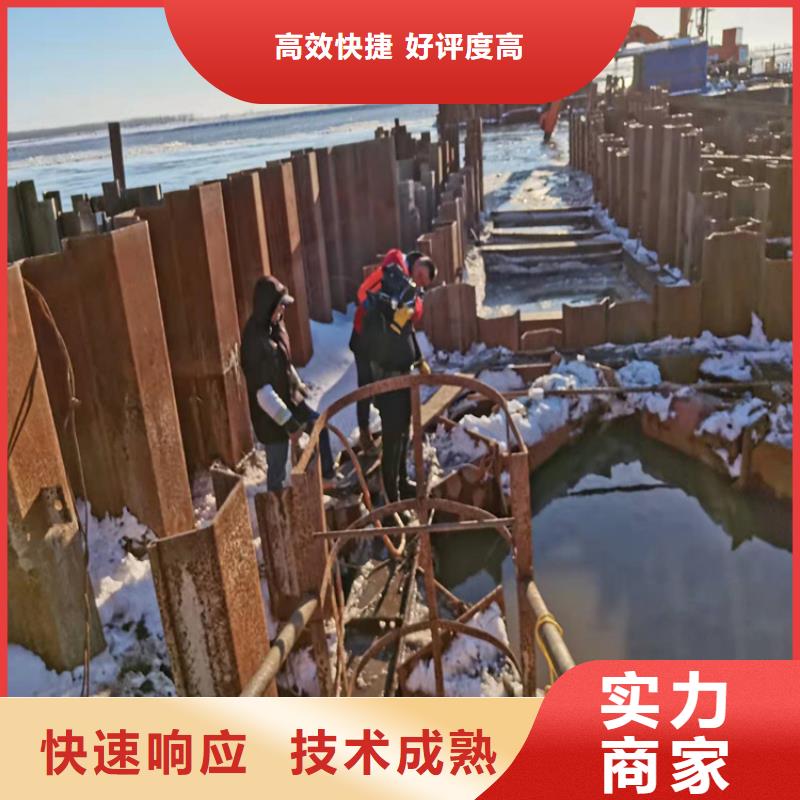 沉管水下摄像服务技术精湛