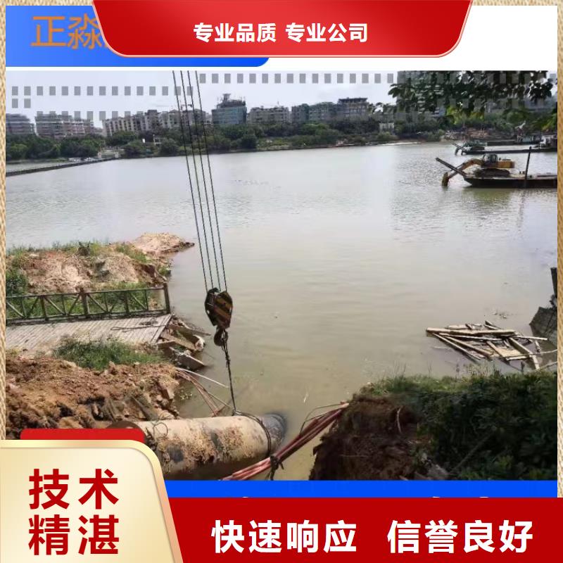 沉管水下救援机器人实力强有保证