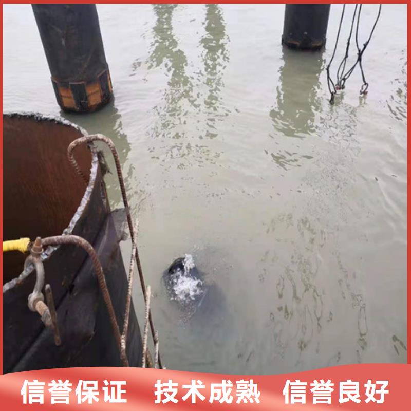 水下作业-水下录像好评度高