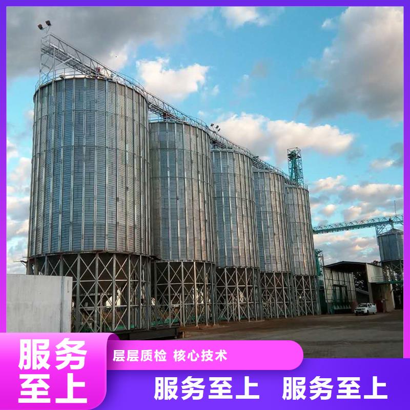 大型粮囤厂家-专心做产品