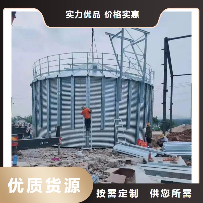 2025发货快速#黄豆立筒仓#实体厂家