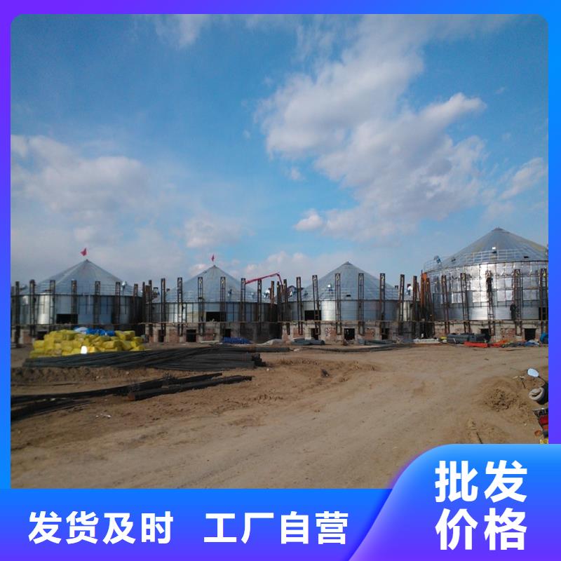 定制大型立式粮食筒仓_优质厂家