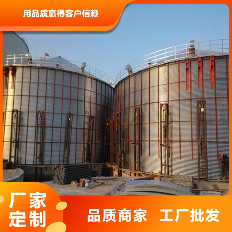 定制大型立式粮食筒仓_优质厂家