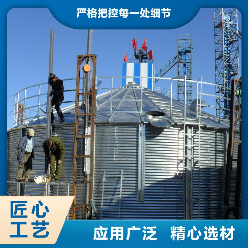 立式玉米钢板仓型号款式按需定制
