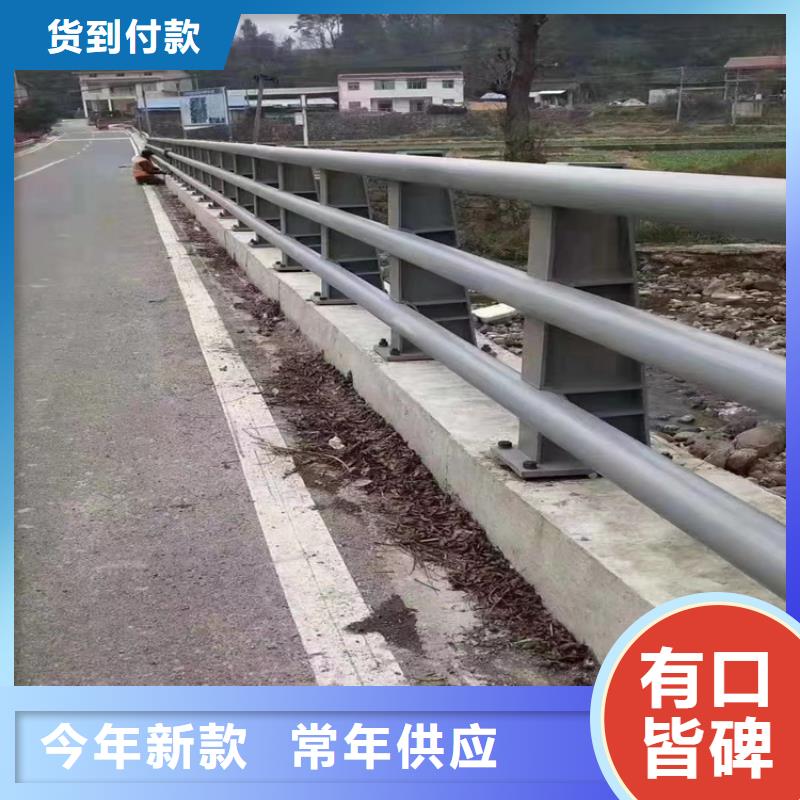 河道护栏_天桥护栏栏杆专心专注专业