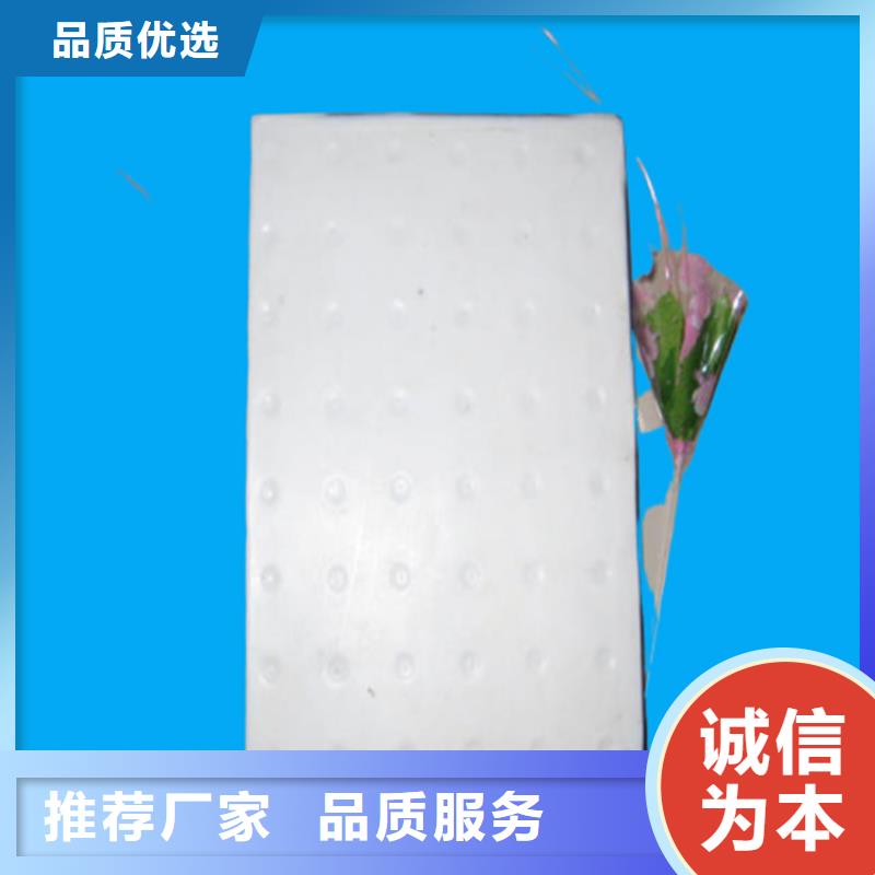 板式橡胶支座球铰支座大厂家实力看得见
