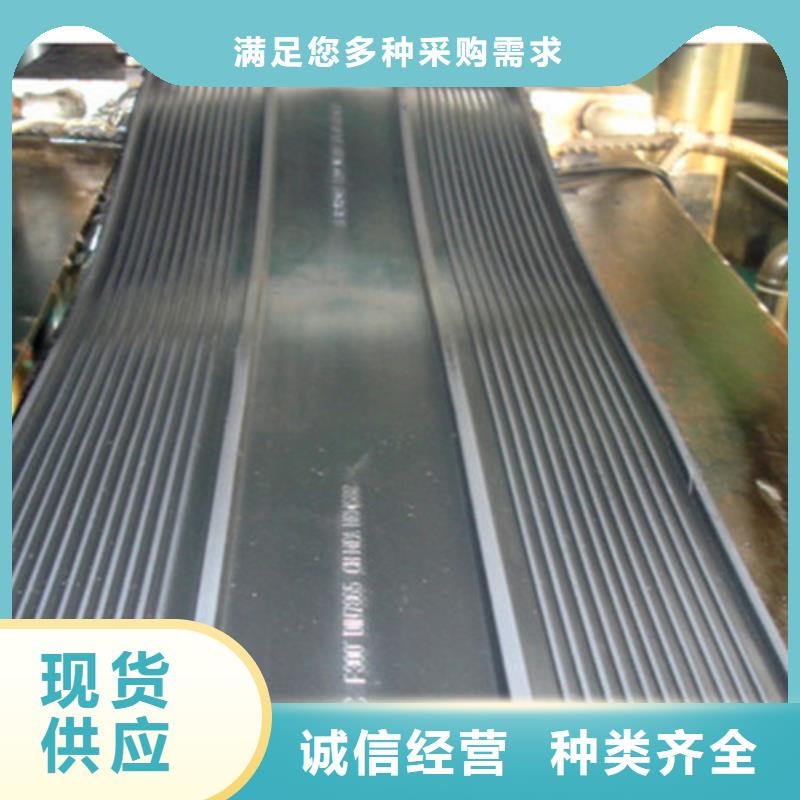 橡胶止水带_【网架支座厂家】实力派厂家