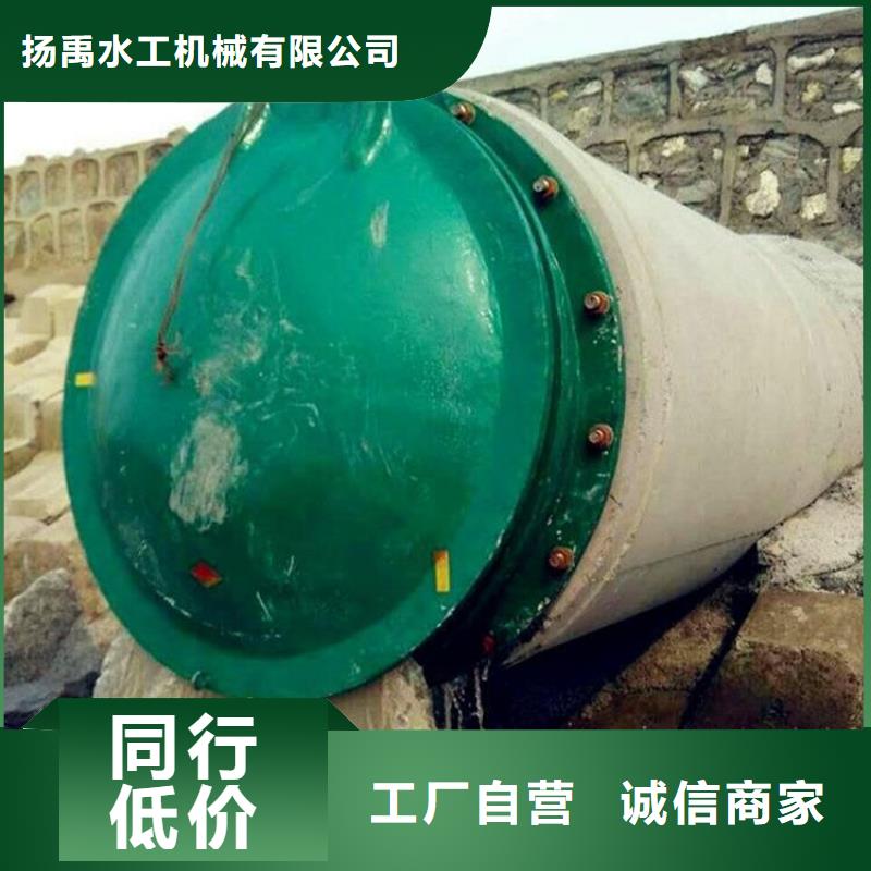 铸铁闸门钢制拍门厂家厂家采购