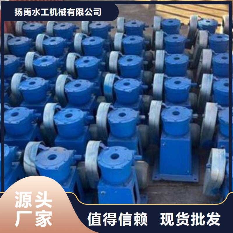 螺杆启闭机拍门检验发货