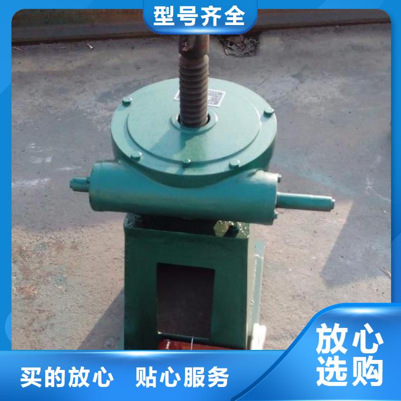 螺杆启闭机暗杆式启闭机支持非标定制