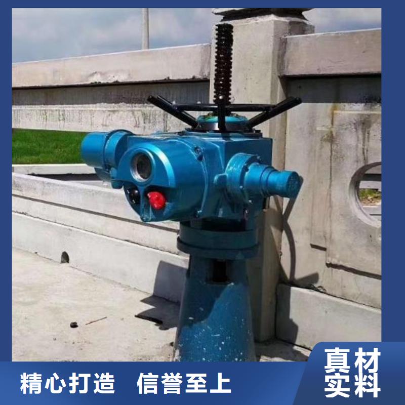  螺杆启闭机专注细节使用放心