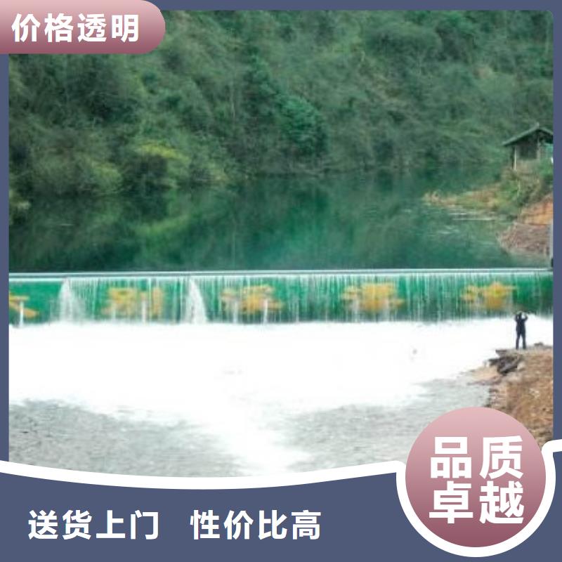 翻板闸门钢坝诚信为本