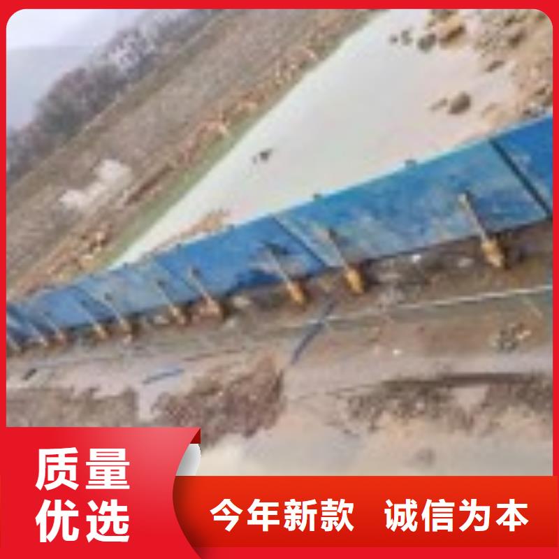 翻板闸门产地厂家直销