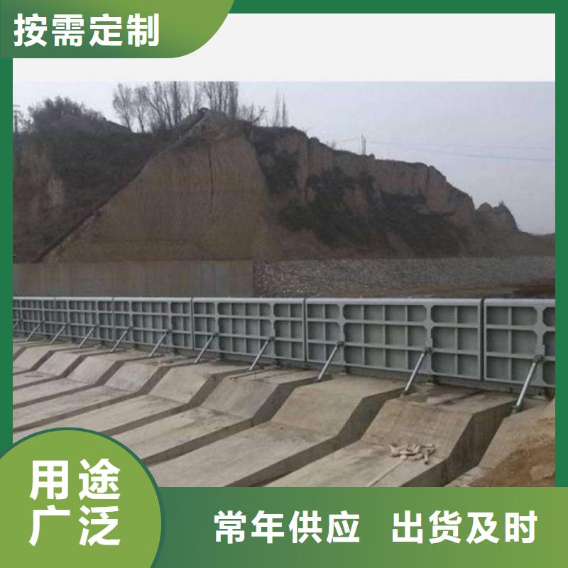 【翻板闸门-清污机精选厂家好货】