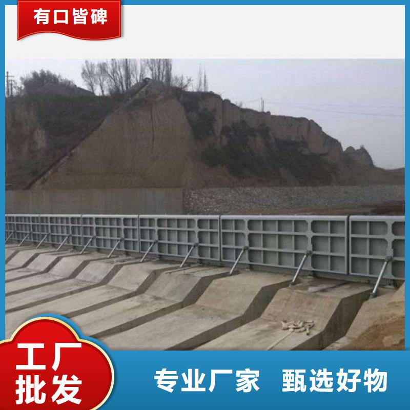 翻板闸门启闭机闸门支持定制贴心售后