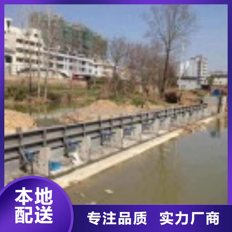 翻板闸门_钢制拍门厂家好货直销