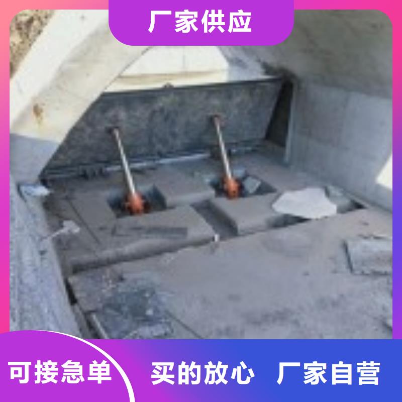翻板闸门自有厂家
