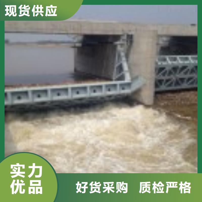 翻板闸门暗杆式启闭机诚信经营