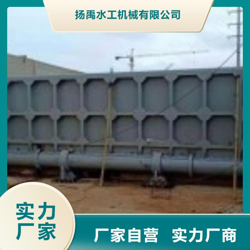 翻板闸门拦污栅大厂家实力看得见