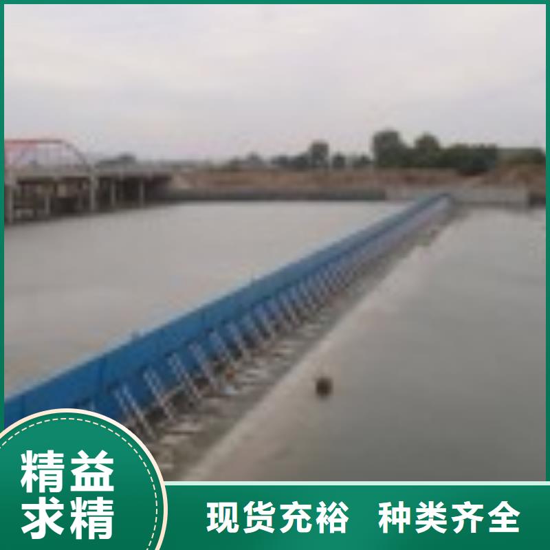 翻板闸门【封闭式启闭机】用心做好细节