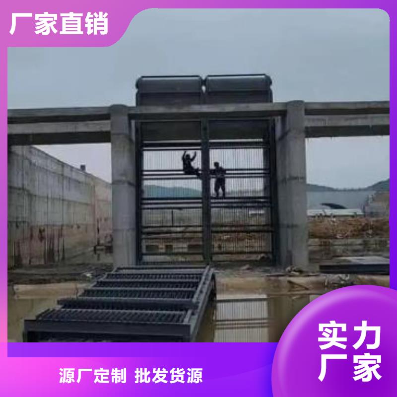清污机【球墨铸铁闸门】丰富的行业经验