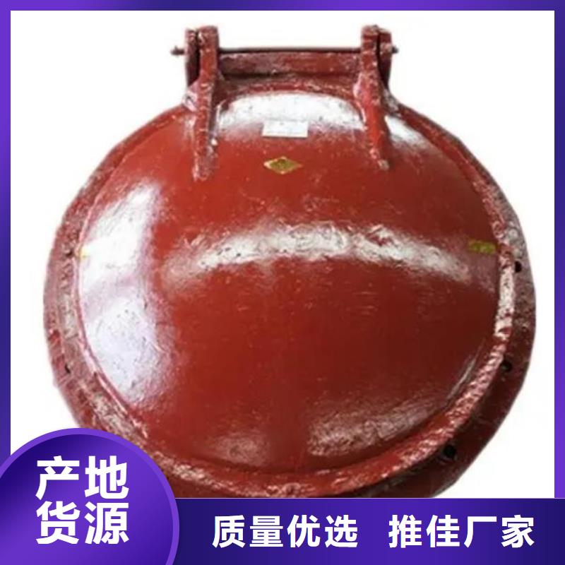 拍门卷扬启闭机厂家支持货到付清