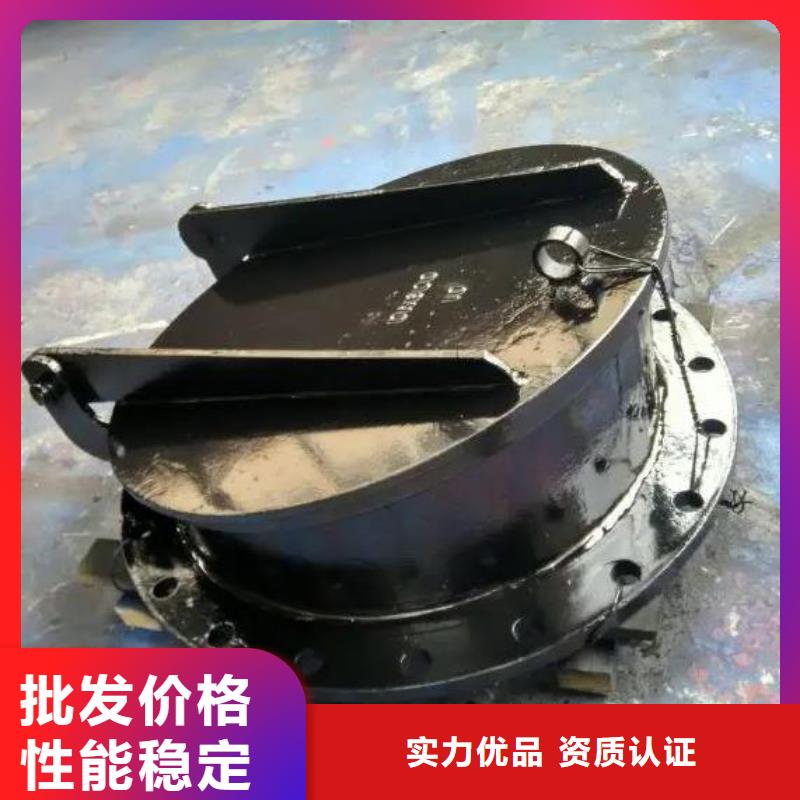 拍门,暗杆式启闭机热销产品