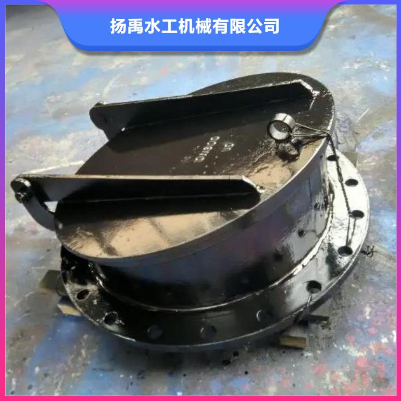 拍门-【钢制闸门】多种规格供您选择