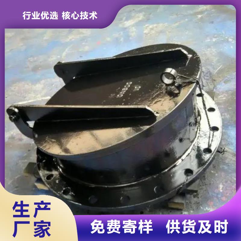 拍门铸铁闸门用心经营