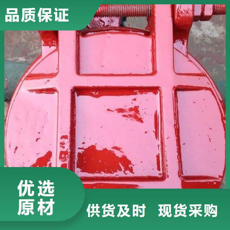 拍门钢制闸门实力优品