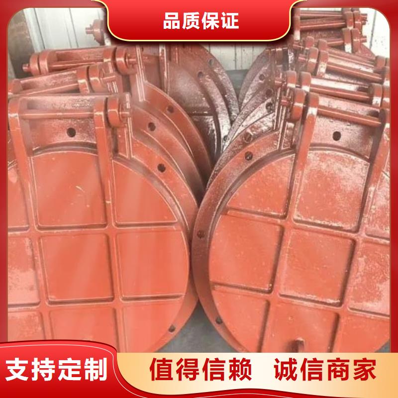 拍门_铸铁闸门厂家颜色尺寸款式定制