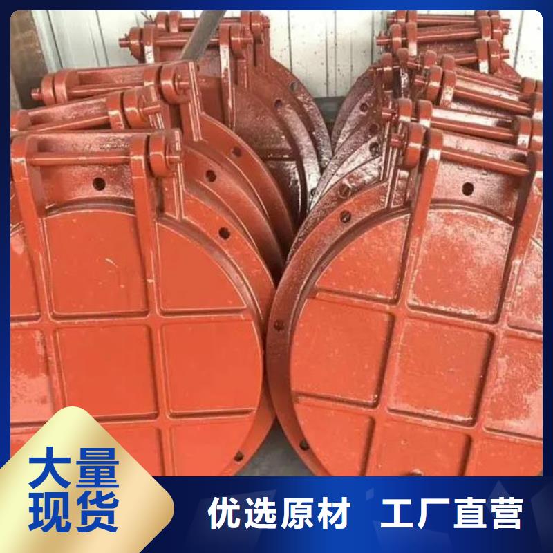 拍门【不锈钢闸门】今日价格