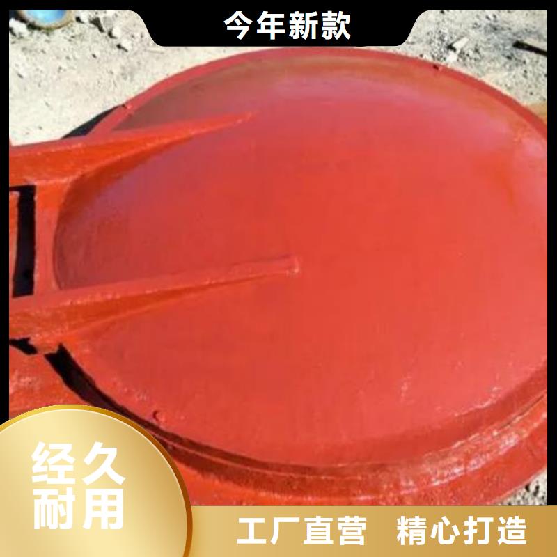拍门【铸铁闸门】现货满足大量采购