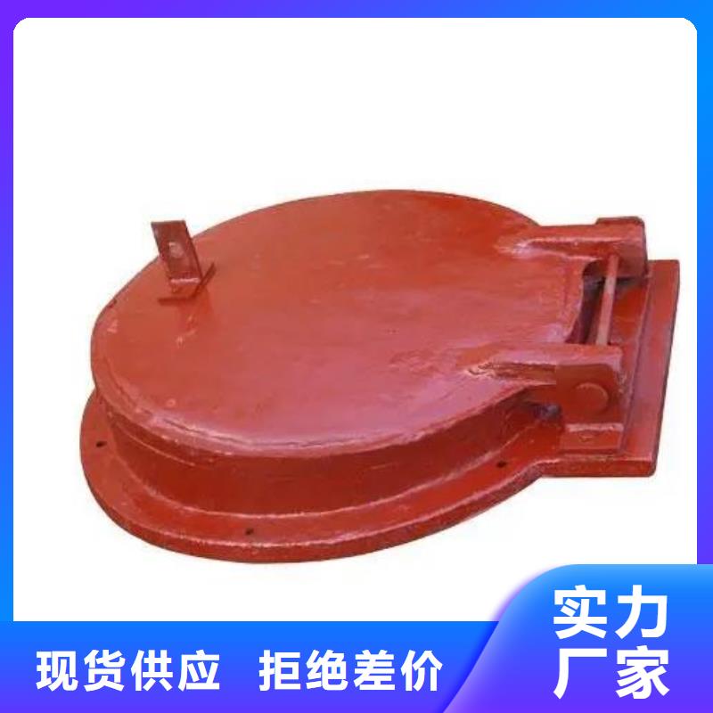 拍门球墨铸铁闸门的图文介绍