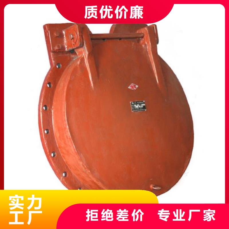 拍门-【扇形闸门】口碑好实力强