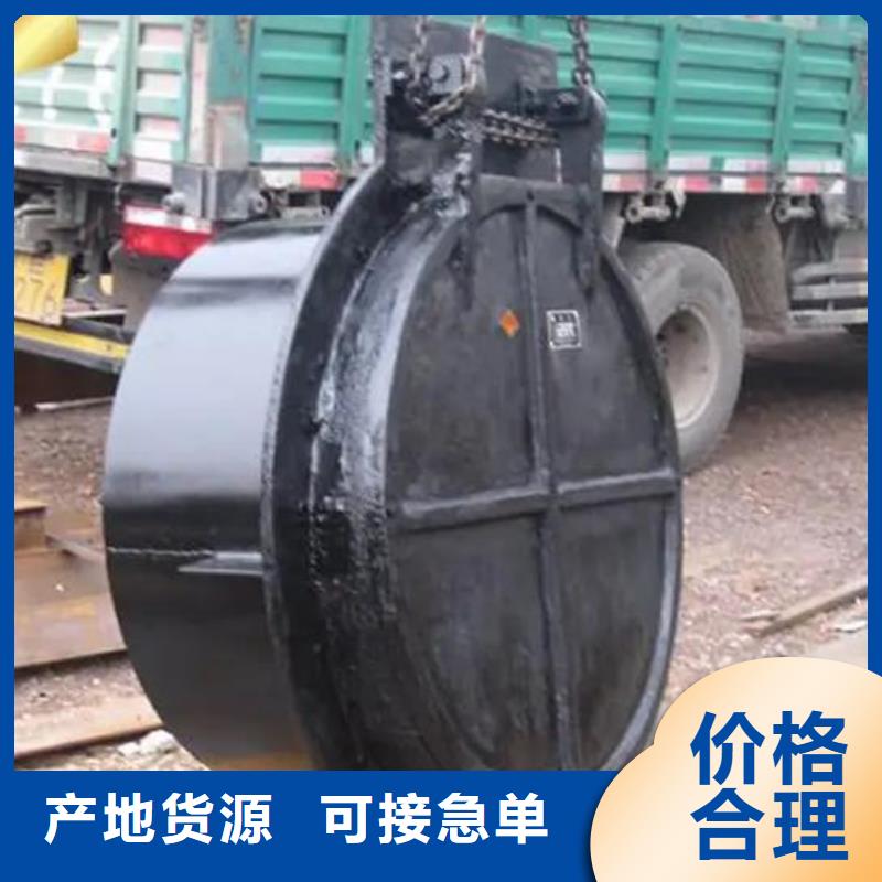 拍门卷扬启闭机厂家支持货到付清