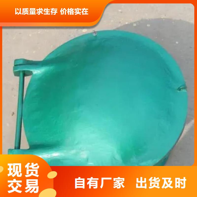 拍门铸铁闸门实体厂家支持定制