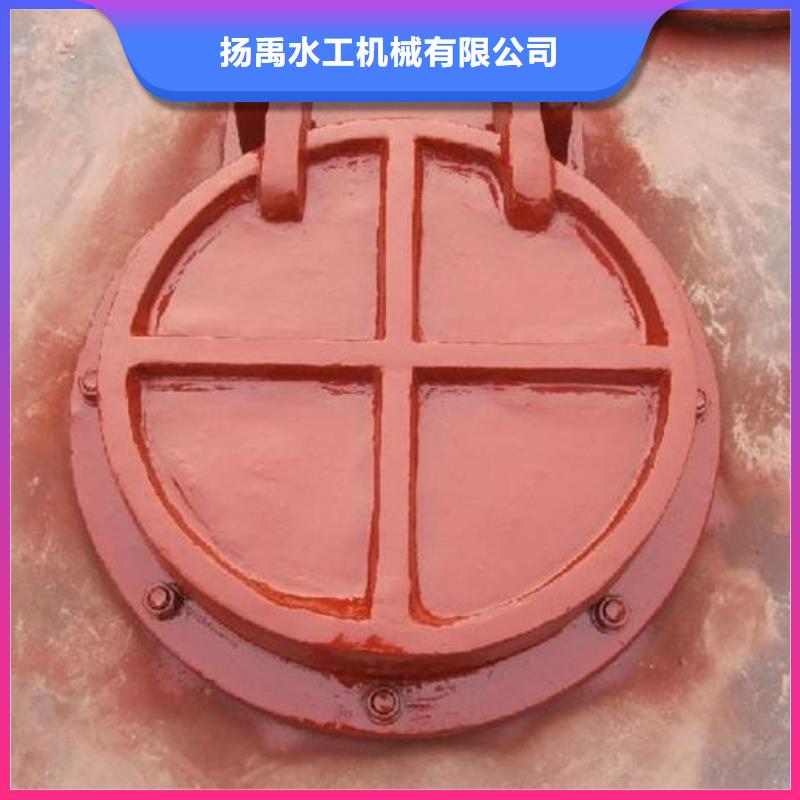 拍门铸铁闸门用心经营