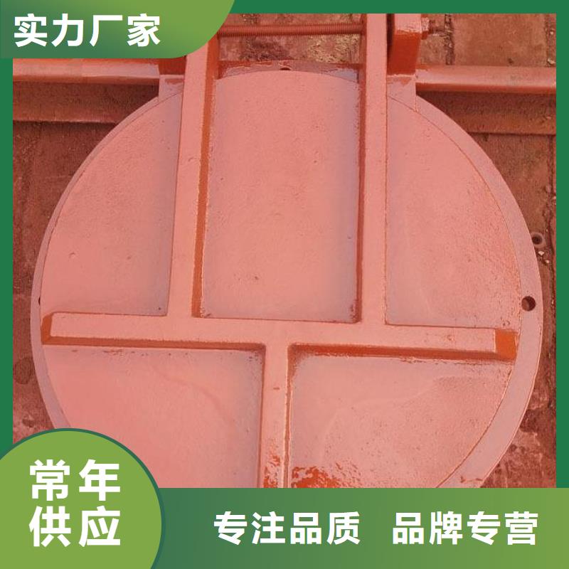 【拍门钢制拍门厂家实体厂家大量现货】
